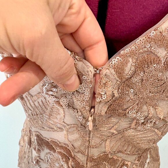 Alex Evenings Women's Midi Cap Sleeve Dress Sequin Rose Pink sz 4 - Picture 9 of 15